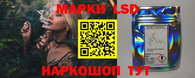 стаф Кунгур