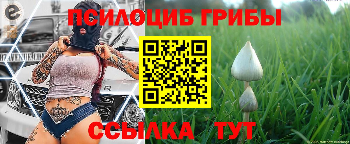 Галлюциногенные грибы ЛСД Долгопрудный