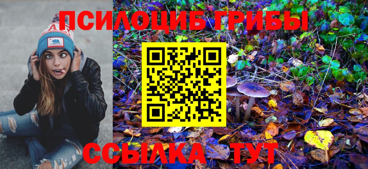 Долгопрудный  Псилоцибиновые грибы Magic Shrooms  где можно купить   Вход с VPN 