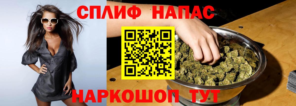 Каннабис сатива Долгопрудный